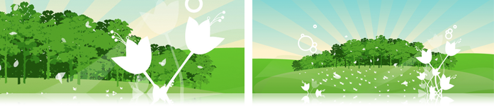 Sunrise Forest Scene