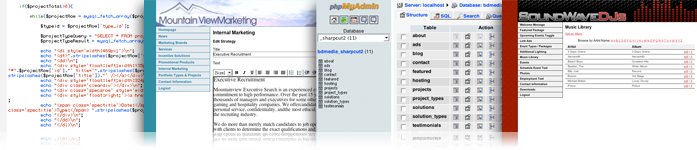 Web programming